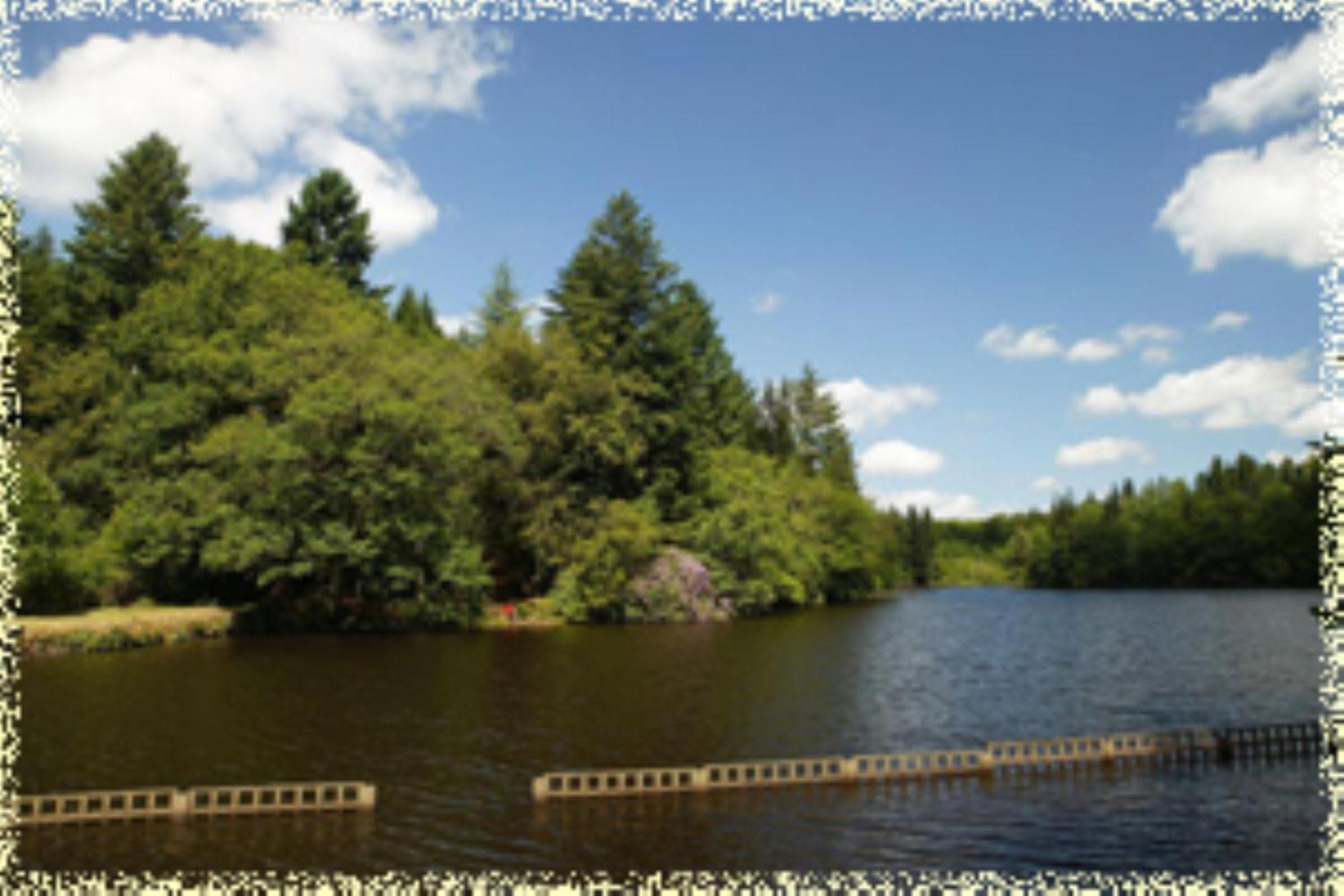 Hotellerie De Plein Air Camping Leychoisier Bonnac-la-Côte Esterno foto