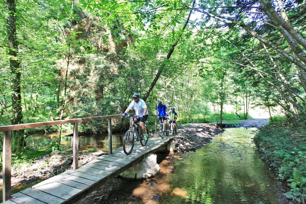 Hotellerie De Plein Air Camping Leychoisier Bonnac-la-Côte Esterno foto